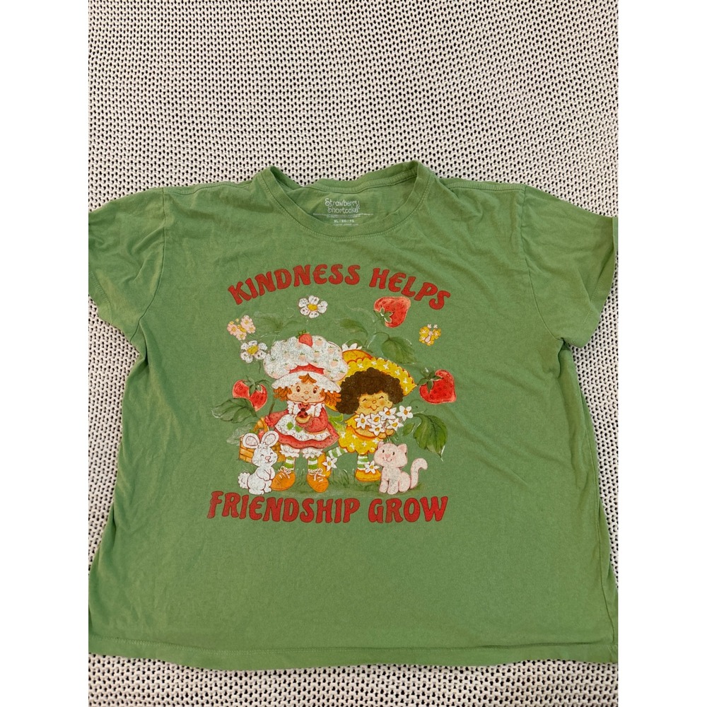 Strawberry Shortcake Graphic Tee Green Kindness Helps Friendship Grow XL Cotton